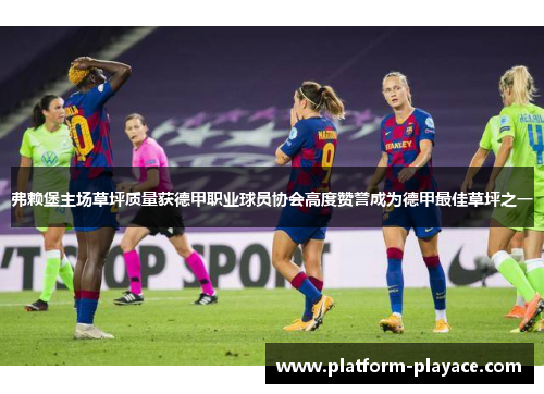 弗赖堡主场草坪质量获德甲职业球员协会高度赞誉成为德甲最佳草坪之一