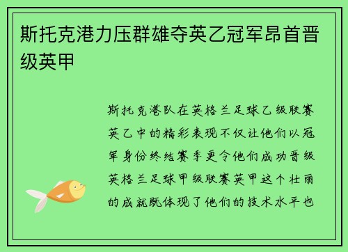 斯托克港力压群雄夺英乙冠军昂首晋级英甲