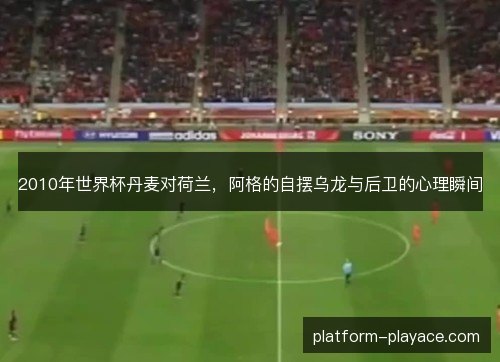 2010年世界杯丹麦对荷兰，阿格的自摆乌龙与后卫的心理瞬间